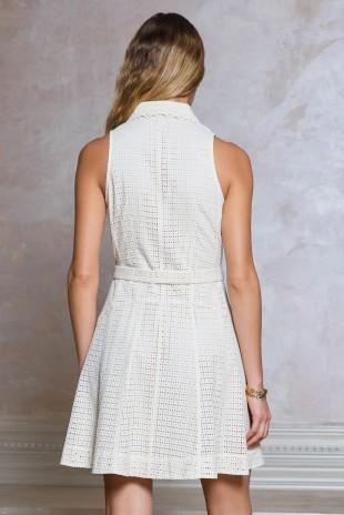 Sleeveless Mini Dress 2690074