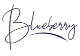 shop.blueberryboutique